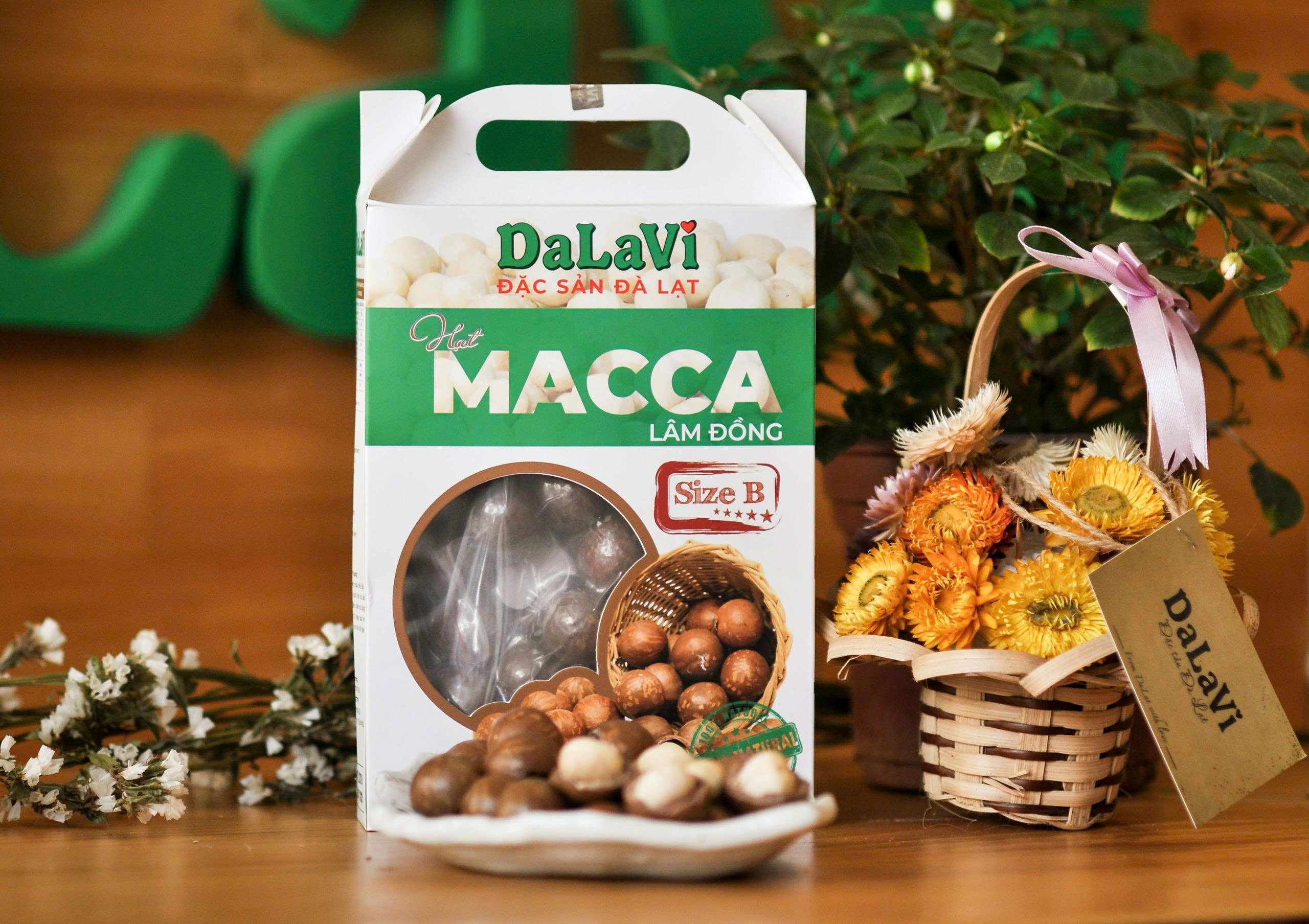 Mắc Ca Size B